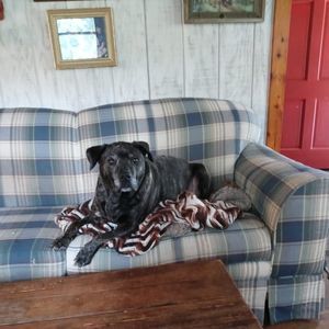 Meet your Posher, Kenny